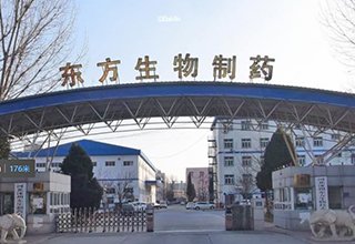 涿州东方药厂家属院建筑年代是哪年？东方药厂家属院有房本吗？