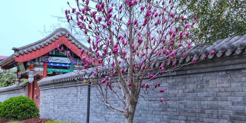 涿州清行宫外墙