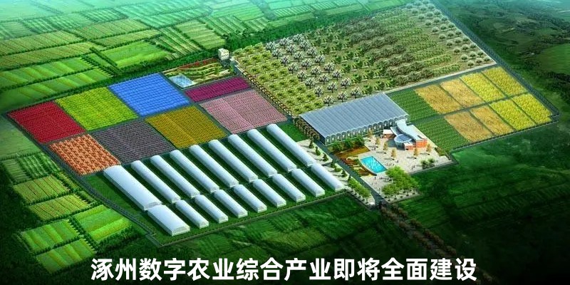 涿州农业产业规划建设园区
