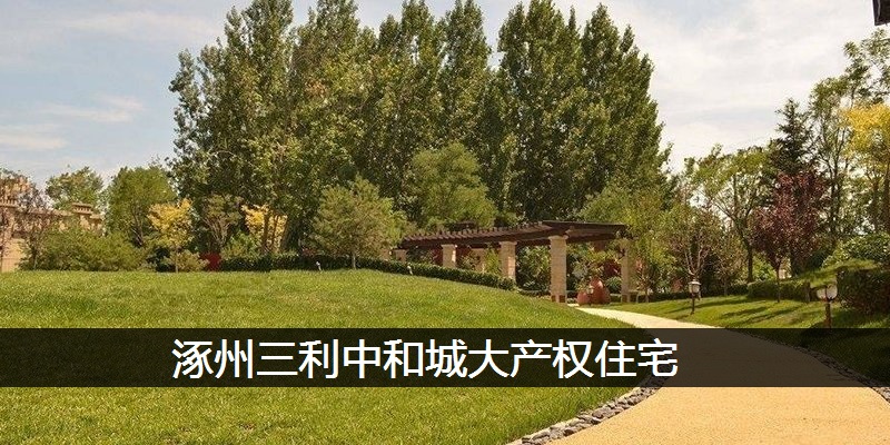 涿州三利中和城大产权住宅