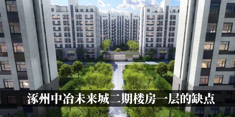 涿州中冶未来城二期楼房一层的缺点