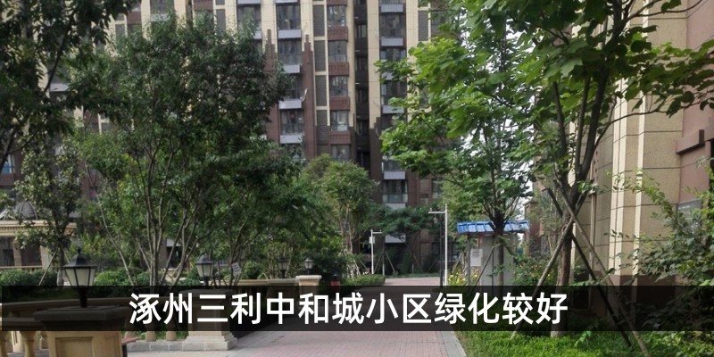 涿州三利中和城小区绿化较好
