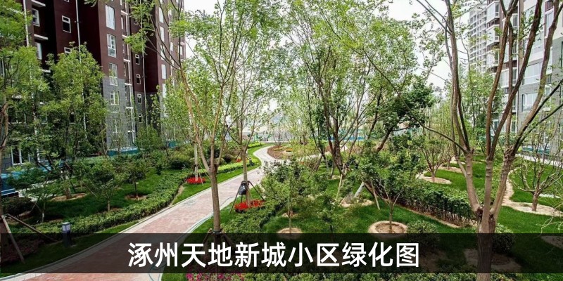 涿州天地新城小区绿化图