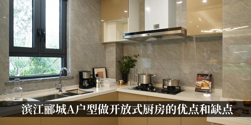 滨江郦城A户型做开放式厨房的优点和缺点