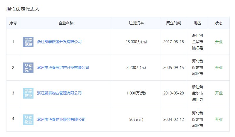 中央风景开发商担任法人代表情况