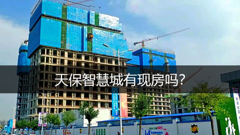 涿州天保智慧城有现房吗