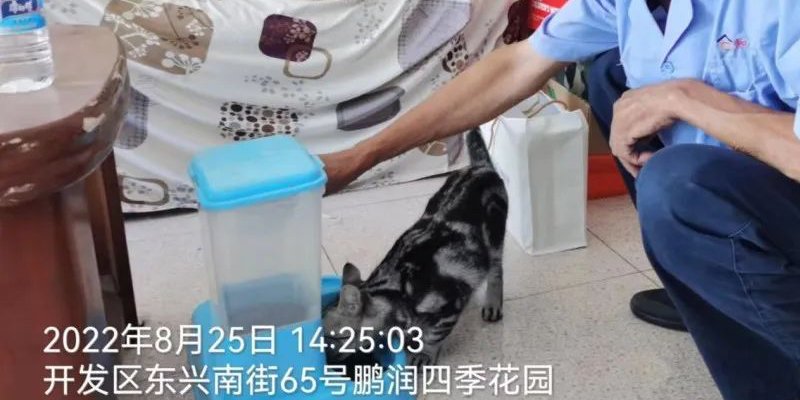 和合物业人帮业主喂猫