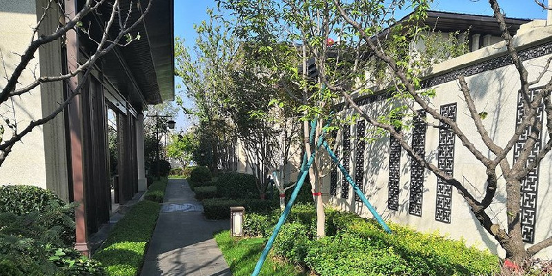 上河天著园林实景照片