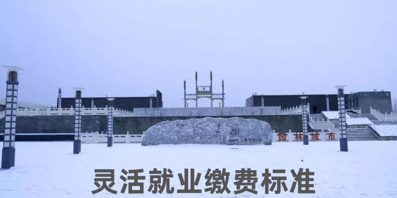 灵活就业缴费标准