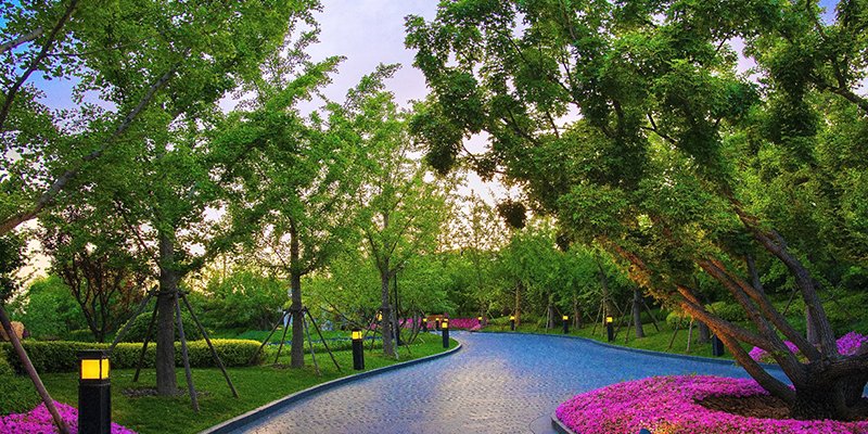 万科新辰之光环境实景