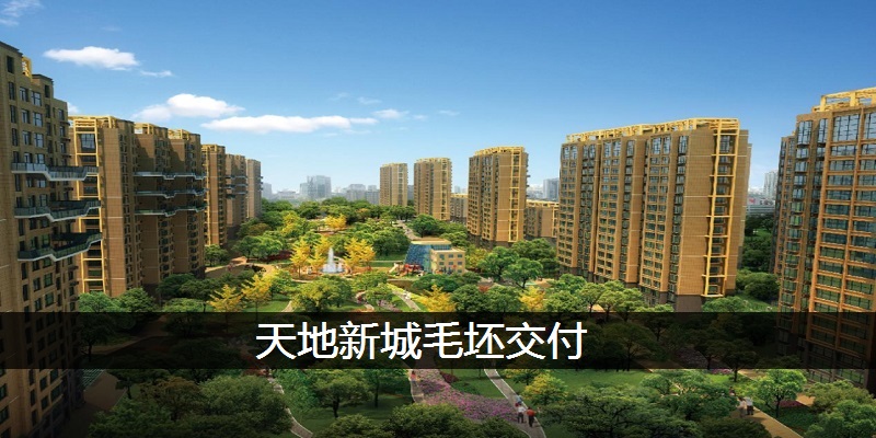 天地新城毛坯交付