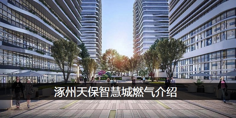 涿州天保智慧城燃气介绍