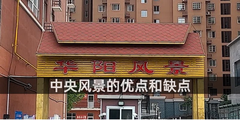 中央风景的优点和缺点