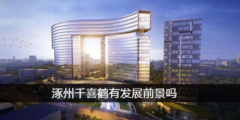 涿州千喜鹤有发展前景吗