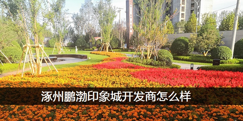 涿州鹏渤印象城开发商怎么样