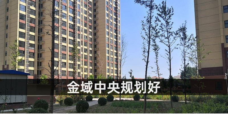 金域中央规划好