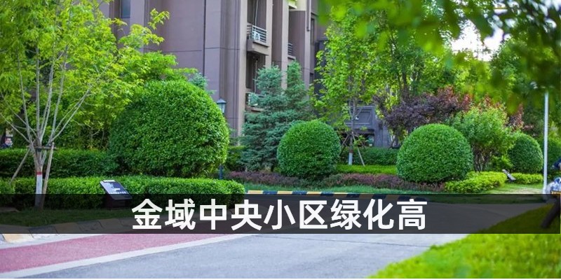 金域中央小区绿化高