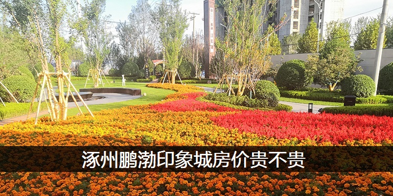 涿州鹏渤印象城房价贵不贵