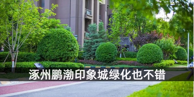 涿州鹏渤印象城绿化也不错