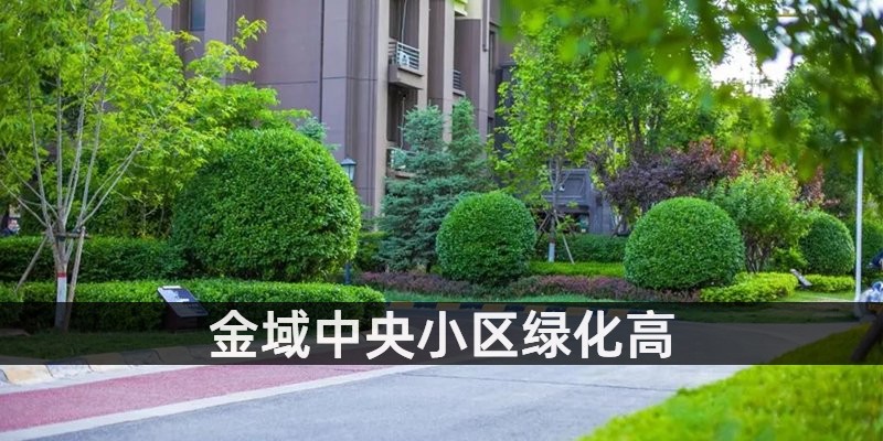 金域中央小区绿化高