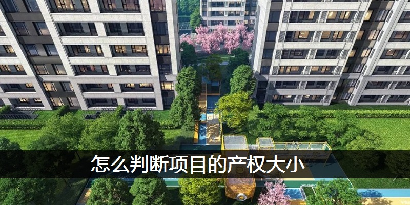 怎么判断项目的产权大小