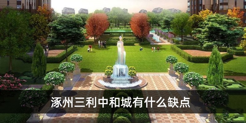 涿州三利中和城有什么缺点