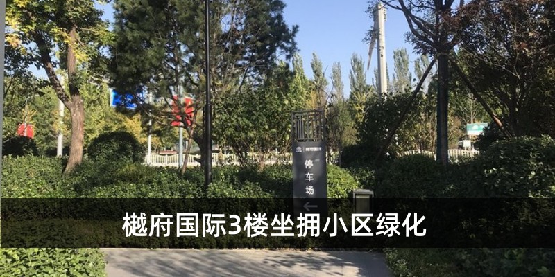 3楼坐拥小区绿化