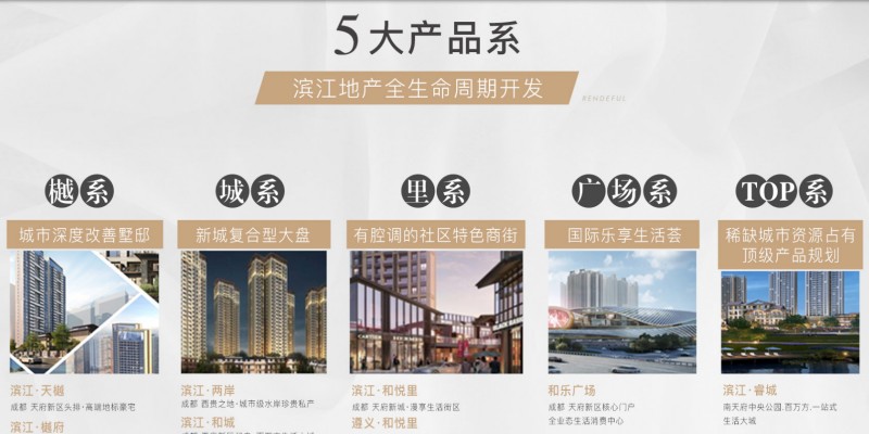 润丰达集团的五大产品系