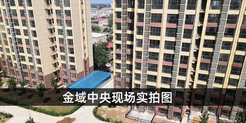 金域中央现场实拍图