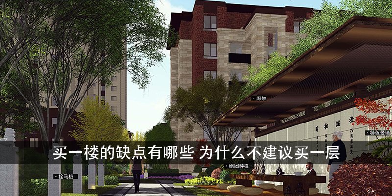 买一楼的缺点有哪些 为什么不建议买一层