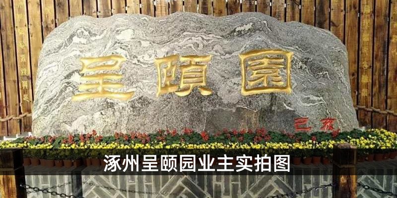 涿州呈颐园业主实拍图