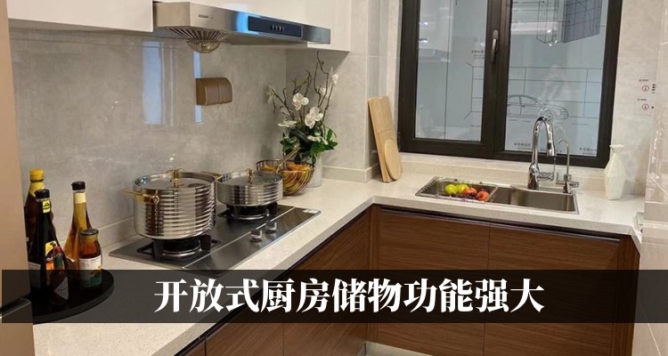 开放式厨房储物功能强大