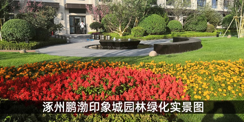 涿州鹏渤印象城园林绿化实景图