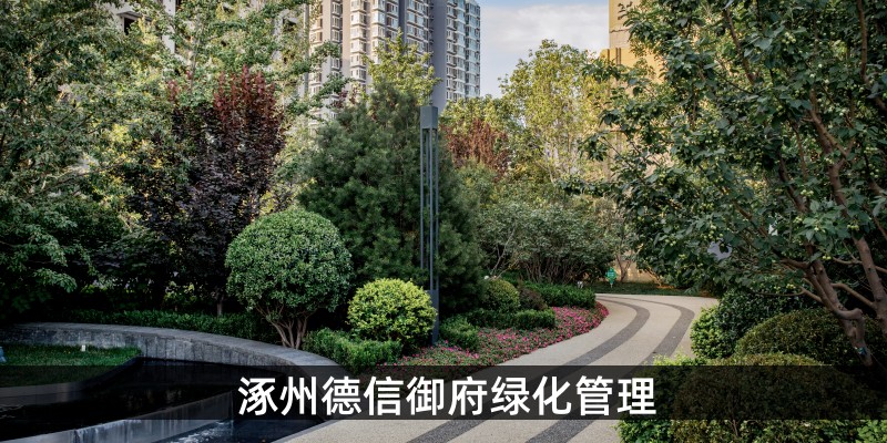 涿州德信御府小区绿化管理