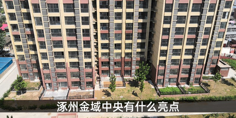 涿州金域中央有什么亮点