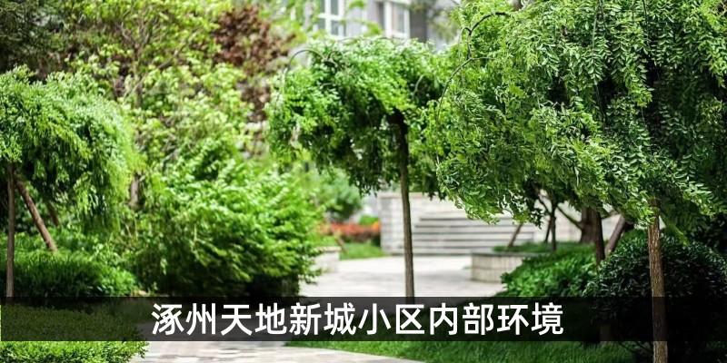 涿州天地新城小区内部环境