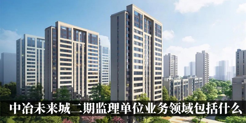 中冶未来城二期监理单位业务领域包括什么