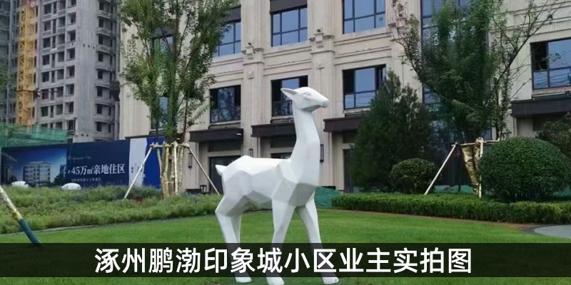 涿州鹏渤印象城小区业主实拍图