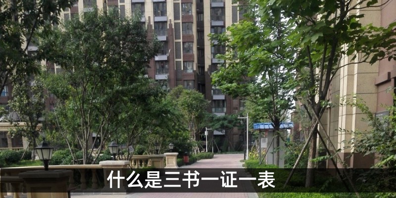 什么是三书一证一表