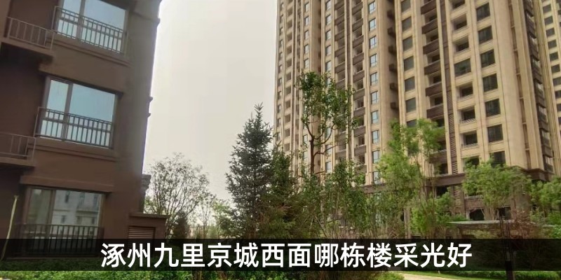 涿州九里京城西面哪栋楼采光好