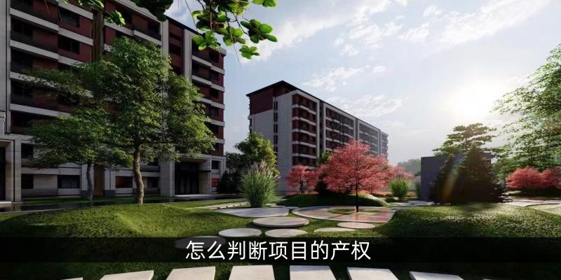 怎么判断项目的产权