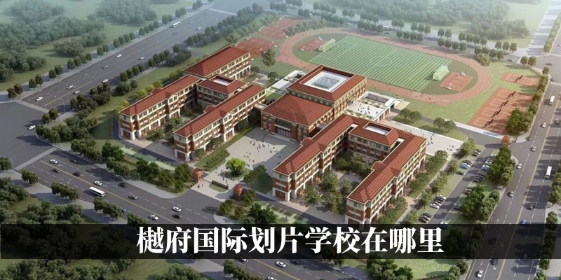 樾府国际划片学校在哪里