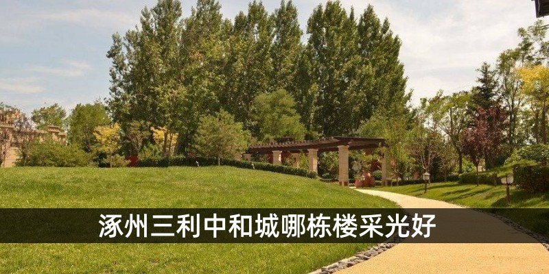 涿州三利中和城哪栋楼采光好