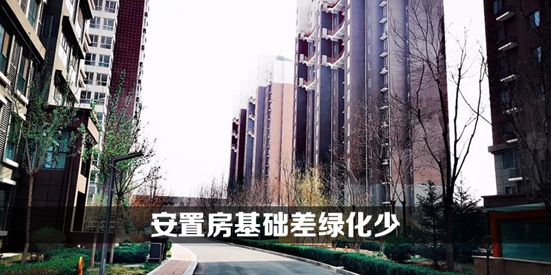 安置房基础差绿化少