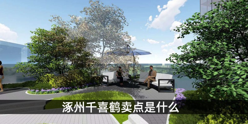 涿州千喜鹤卖点是什么