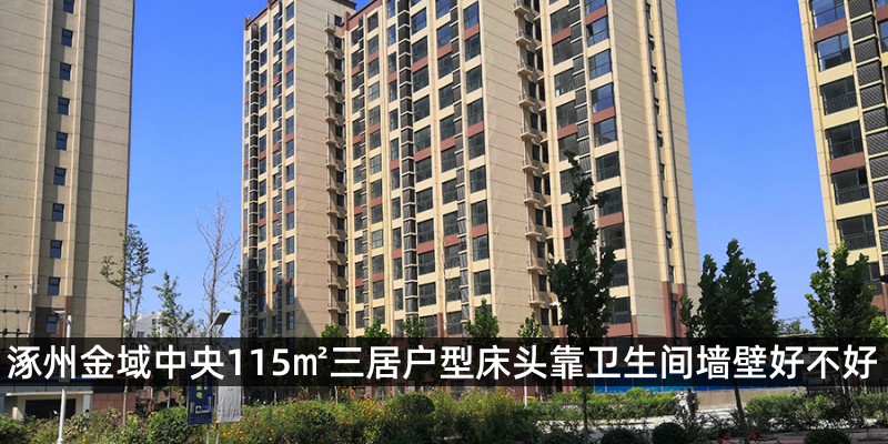 涿州金域中央115㎡三居户型床头靠卫生间墙壁好不好