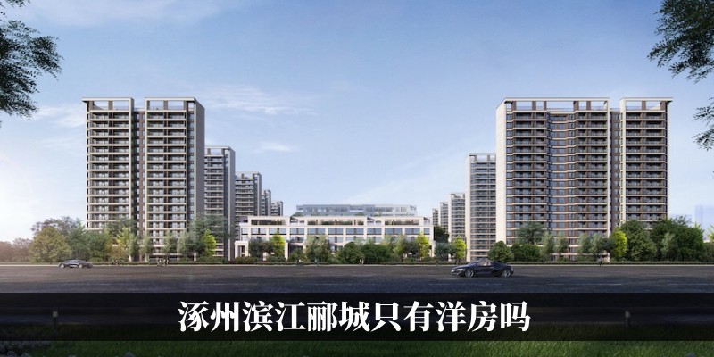 涿州滨江郦城只有洋房吗