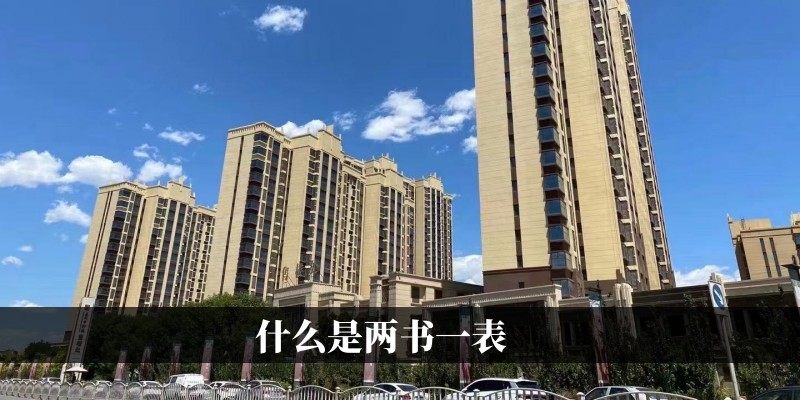 什么是两书一表