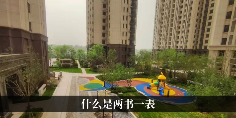 什么是两书一表