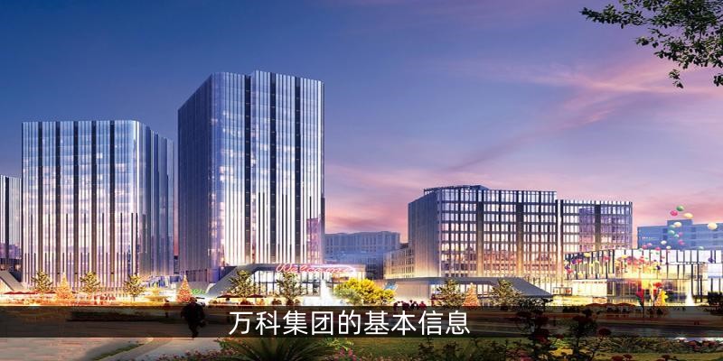 万科集团的基本信息